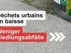 dechets_DIG